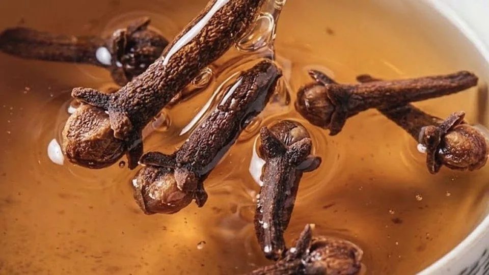 Un clou de girofle de qualité est charnu, huileux et possède une tête bien formée