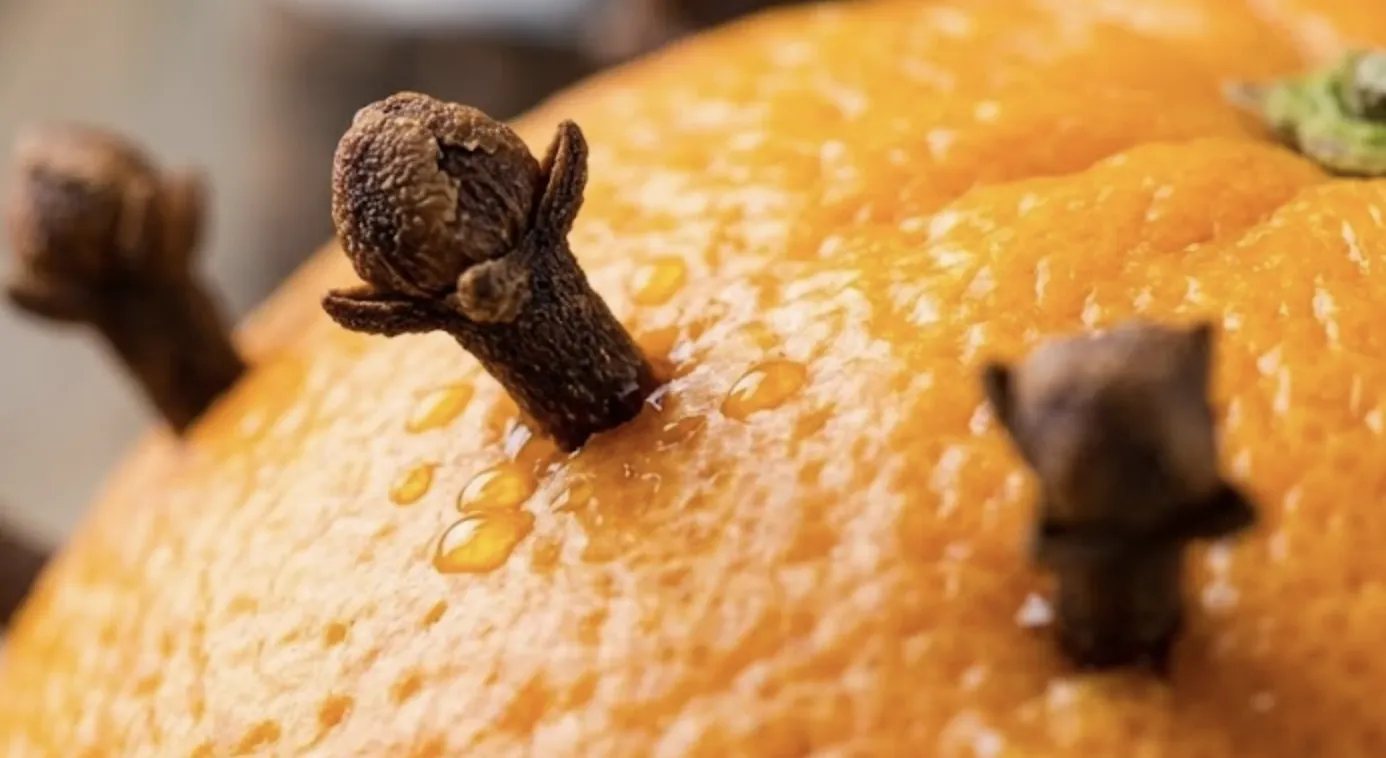 L’orange piquée de clous sèche lentement et parfume l’armoire pendant des semaines