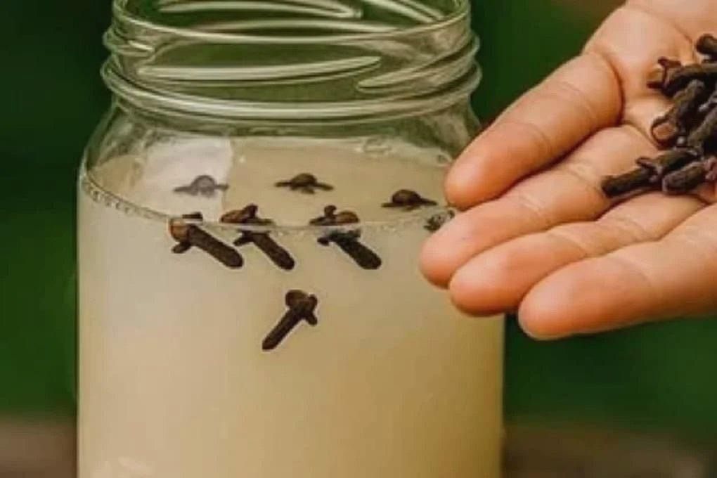 Le test de l’eau : une façon simple de vérifier si le clou de girofle est frais